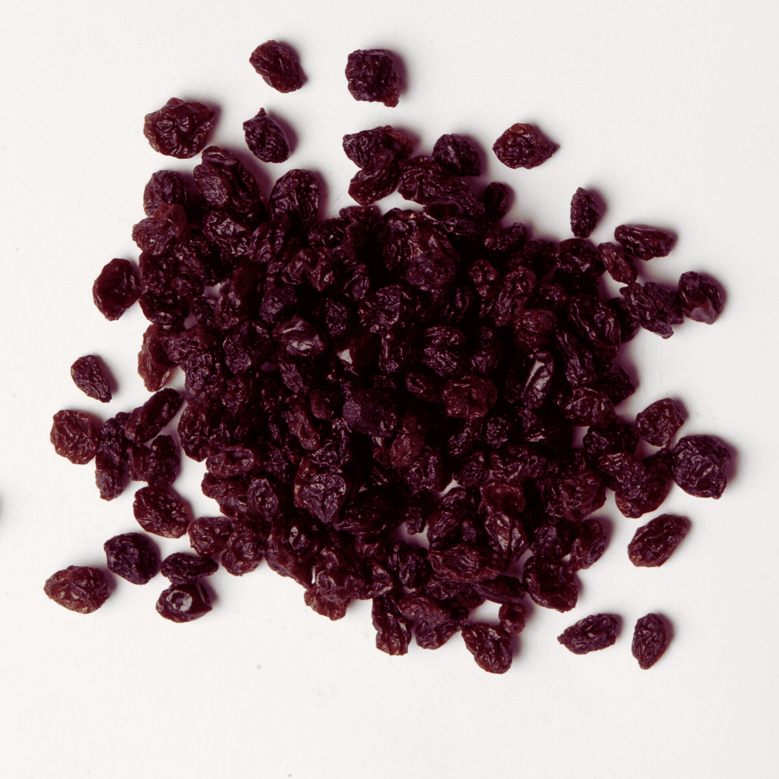 Traina® Dried Fruit Zante Dried Currants - small pile of dried fruit on white background