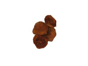 Traina® Organic California Sun Dried Apricots, halves - small pile of sun dried fruit on white background.