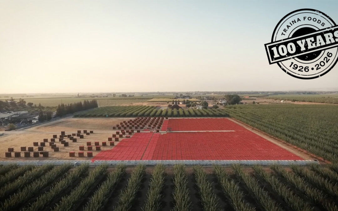 Honoring 100 Years in the Sun