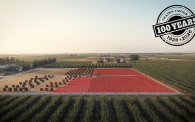 Honoring 100 Years in the Sun