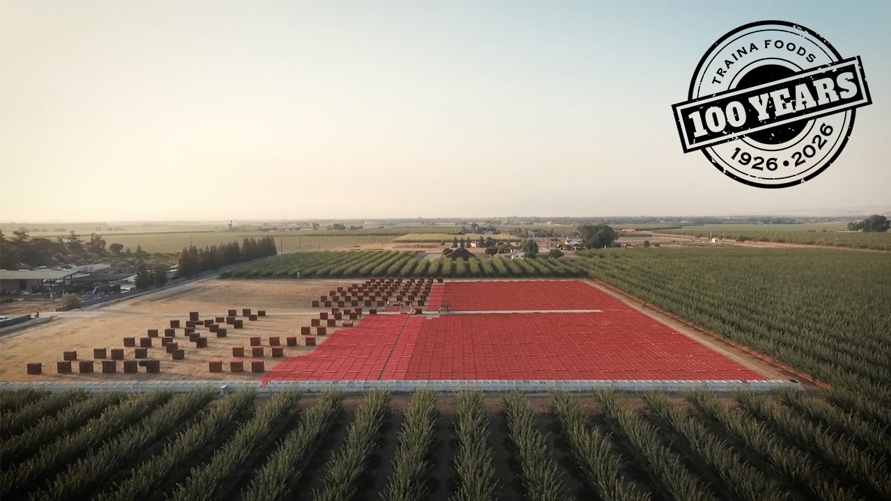 Honoring 100 Years in the Sun